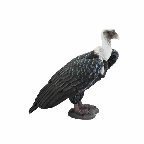 Mojo Animal Planet Sup bělohlavý porovnat ceny