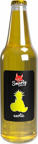 Smarty Evolution Exotic sklo 0,33l porovnat ceny