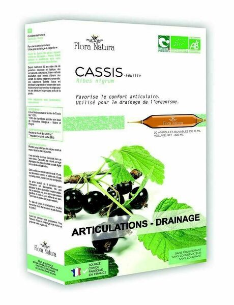 Flora Natura Černý rybíz BIO 20x15 ml porovnat ceny