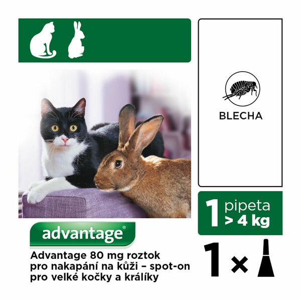 ADVANTAGE 80 10% 1x0,8 ml pro kočky nad 4 kg porovnat ceny