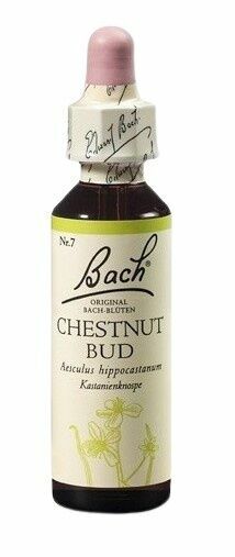 Dr. Bach  Bach® Chestnut Bud 20ml porovnat ceny