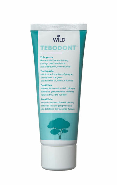 Tebodont -F Zubní pasta bez fluoridů 75 ml porovnat ceny