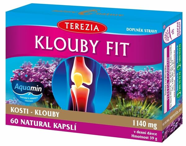 Terezia Klouby fit 60 kapslí porovnat ceny
