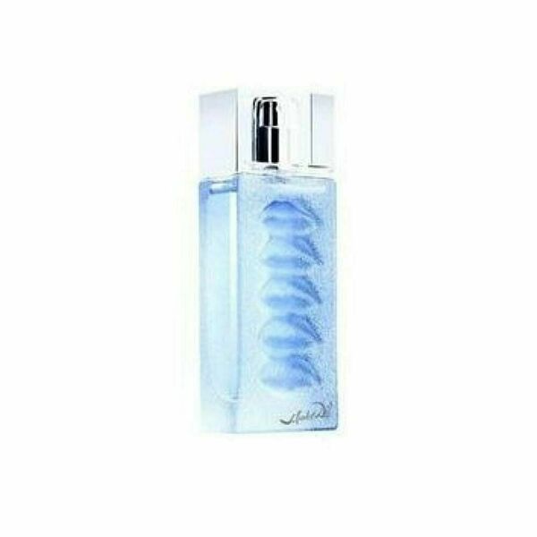 Salvador Dali Eau de Ruby Lips Toaletní voda 100ml Tester TESTER porovnat ceny