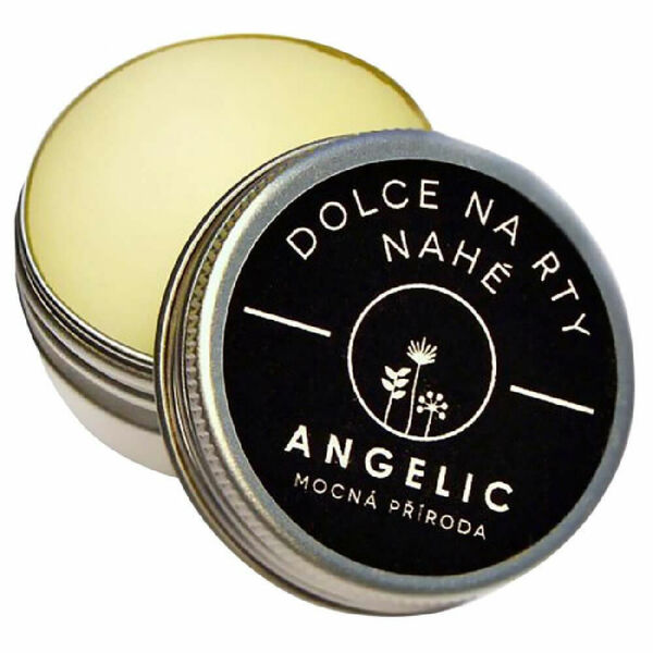 ANGELIC Dolce na rty Nahé 15 ml porovnat ceny