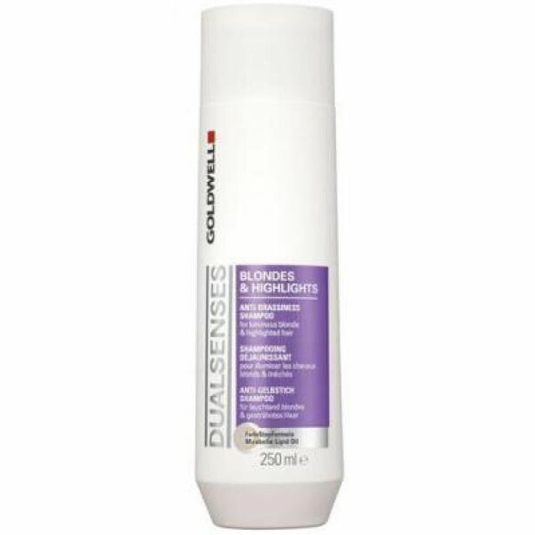 GOLDWELL Dualsenses Blondes Highlights Šampon pro blond a melírované vlasy 250 ml porovnat ceny