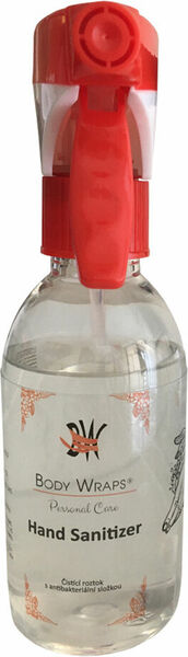 Body Wraps Dezinfekce Hand Sanitizer 200ml porovnat ceny