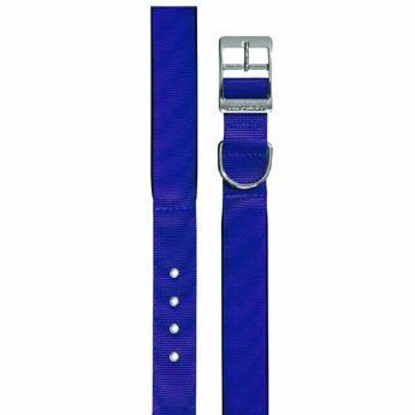 Obojek nylon DAYTONA C 35cmx15mm modrý FP 1ks porovnat ceny