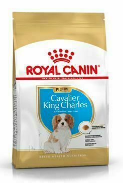 Royal Canin Breed Kavalír King Charles Junior 1,5kg porovnat ceny