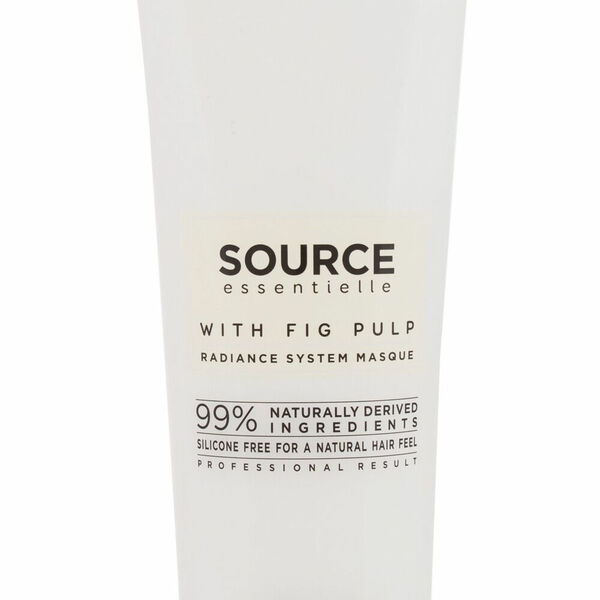 L´ORÉAL Professionnel Source Essentielle Maska na vlasy Radiance System Masque 250 ml porovnat ceny