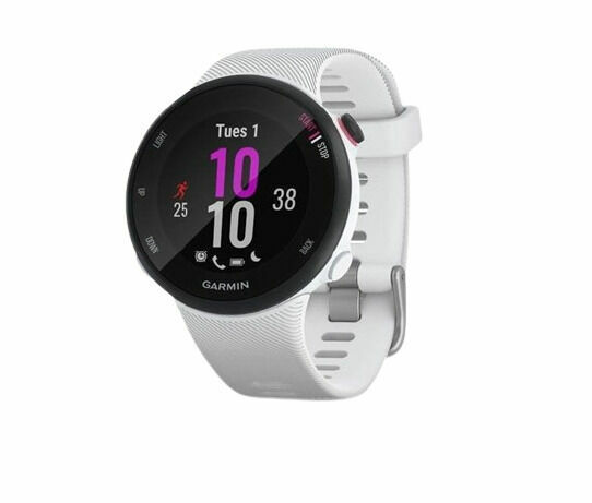 Garmin GPS sportovní hodinky Forerunner 45S Optic White porovnat ceny
