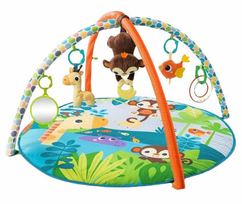 Bright Starts  Deka na hraní Monkey Business Musical Activity 0m+ 2019 porovnat ceny