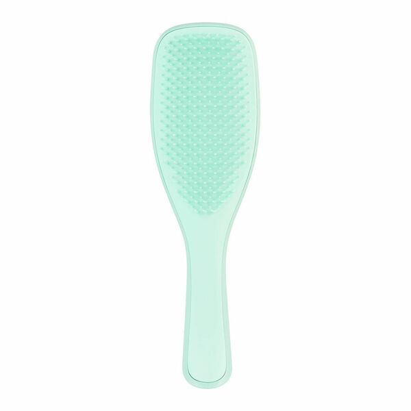 Tangle teezer Wet Detangler Fine & Fragile Jade Lagoon kartáč na vlasy 1 ks porovnat ceny
