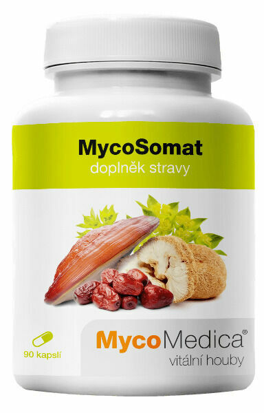 MycoMedica MycoSomat 90 kapslí porovnat ceny