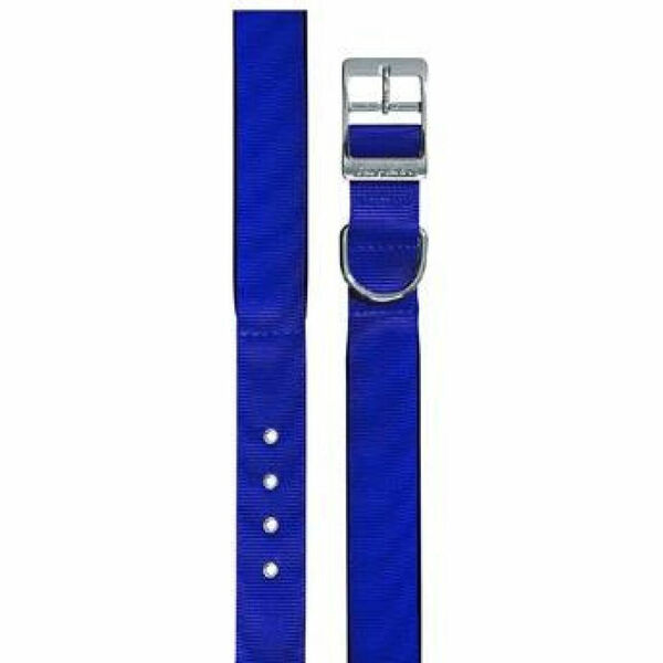 Obojek nylon DAYTONA C 45cmx25mm modrý FP 1ks porovnat ceny