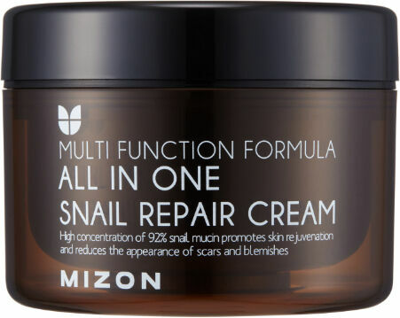 Mizon All In One Snail Repair, Krém na vrásky a problematickou pleť 120ml porovnat ceny