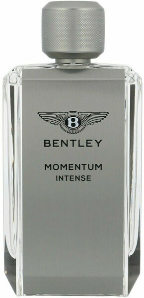 Bentley Momentum Intense 100 ml porovnat ceny