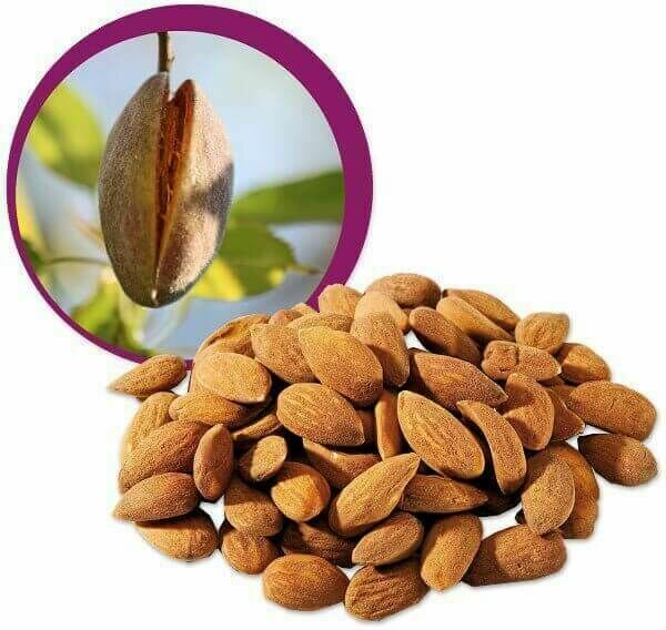 Lifefood Mandle natural BIO RAW 500g porovnat ceny