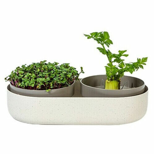 MICROGREENS Velká farma + Regrow - slonová kost s kávovou sedlinou porovnat ceny