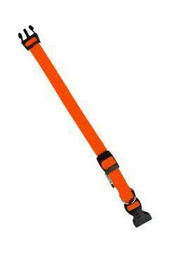 Obojek Nylon Club C 56cmx20mm Oranžový Fp 1ks porovnat ceny