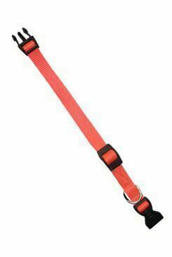 Obojek Nylon Club C 32cmx10mm Oranžový Fp 1ks porovnat ceny