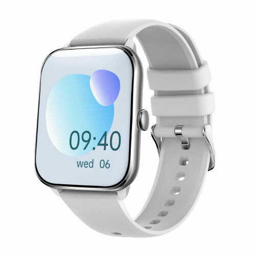 Niceboy WATCH 3 Arctic Silver porovnat ceny